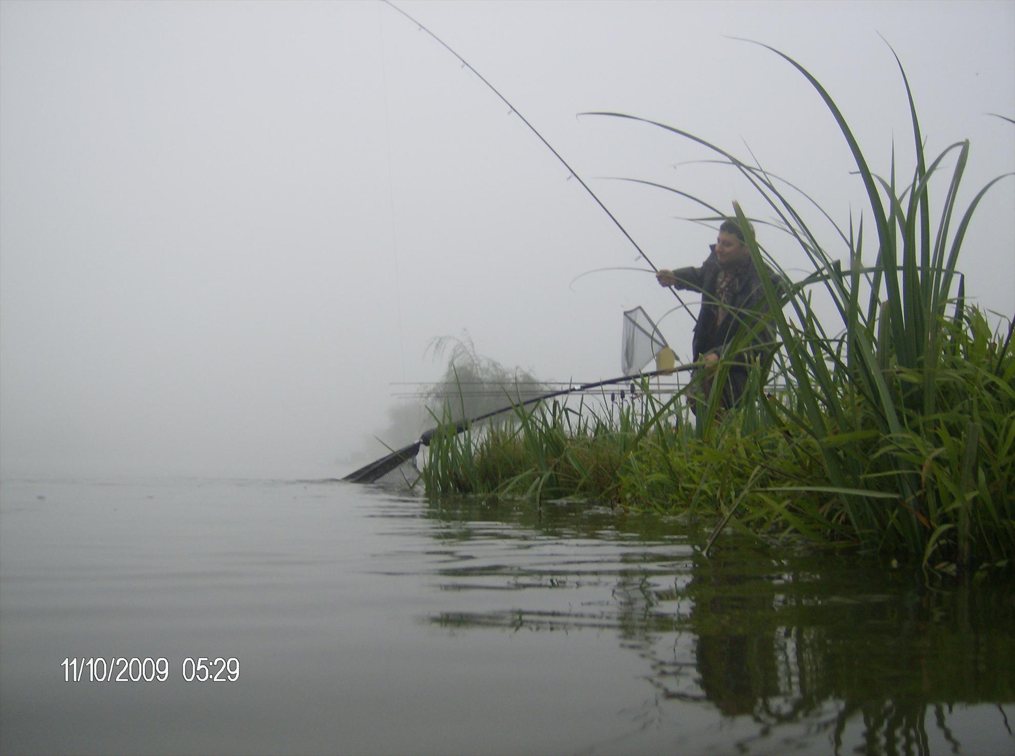 Diverse - hpim4782.JPG